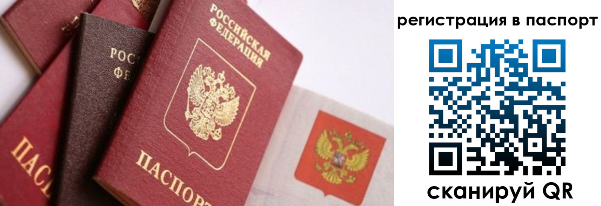 прописка законно в Волгограде